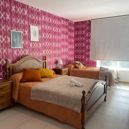 Revico Ponte Do Porto