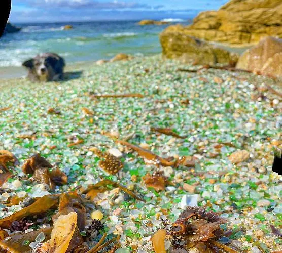 Revico * Ponte Do Porto